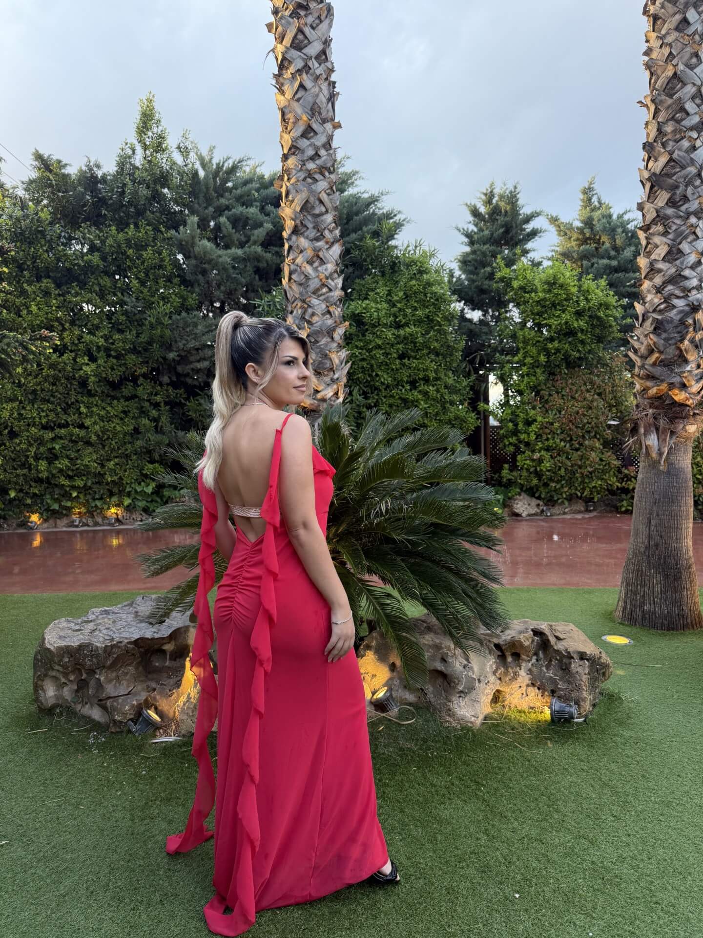 Scarlet Dream Dress - Image 2